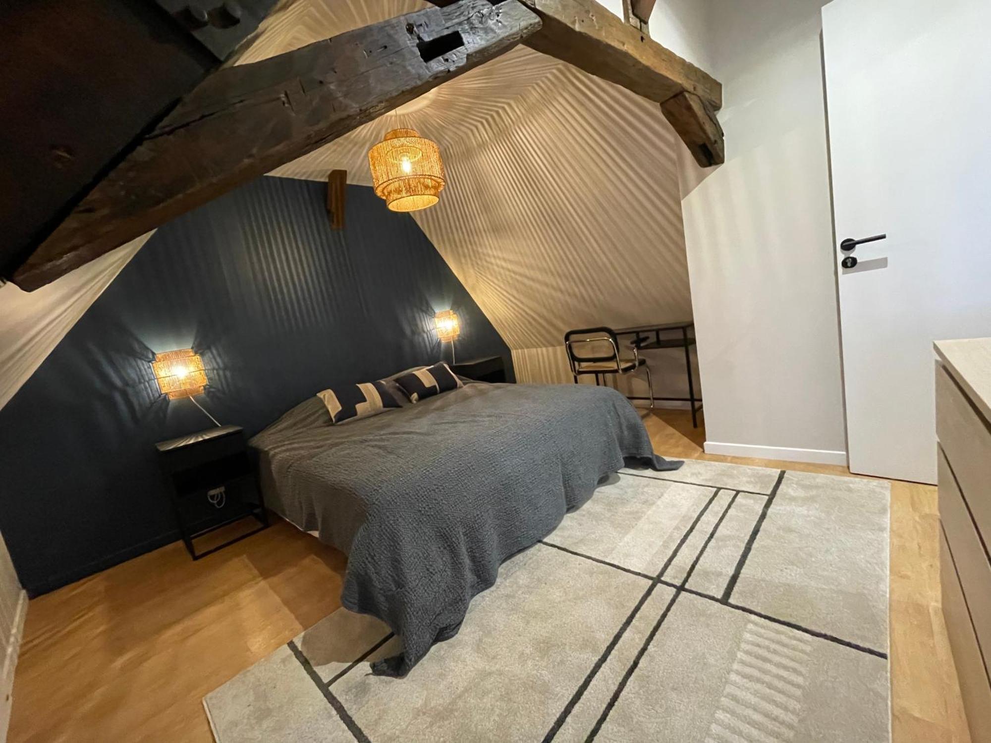 Le Petit Chateau Du Docteur Cambournac Bourges Bagian luar foto